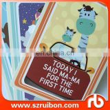 RUIBON DESIGNS baby shower gift baby milestome cards memory cards baby gift set