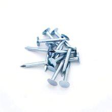Hot-Dipped Galvanized Clout Head Nails for Industrial Use 1kg/bag Custom Orders thumbnail-1