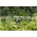 Hottest 4CH 2.4Ghz Gyro Remote Control Helicopter for Kids Toy thumbnail-5