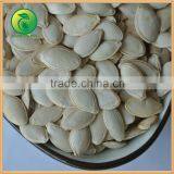 New 2016 Pumpkin Seed Pumpkin Seed ,10mm 11mm 12mm thumbnail-3