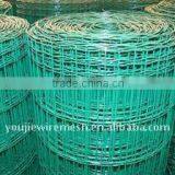 Square Wire Mesh(Galvanized)