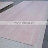 Factory Eucalyptus Wood Plywood for Sale