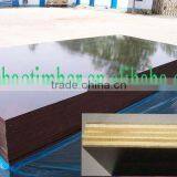 Shandong Film Faced Plywood Construction Plywood thumbnail-3