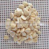 Blanched Sweet Apricot Kerenels Whole Piece Longwang Type in China