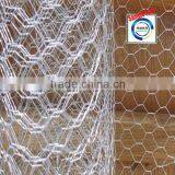 Hot Sale Hexagonal Gabions Wire Mesh