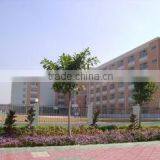 Dingxing Very Trade Co., Ltd. company overview - view 1 thumbnail