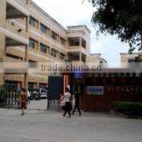 Shenzhen Wale Group Co., Ltd. company overview - view 3 thumbnail