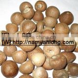 DRIED BETEL NUT at VERY HIGH QUALITY & COMPETITIVE PRICE