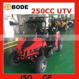 Newest 250cc UTV With Cheap Price MC-152 thumbnail-1