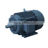 IE2 Standard Synchronous Speed High Efficiency Cast Iron Three Phase Electric Motor thumbnail-1