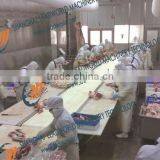 Beef Dividing Conveying System thumbnail-1