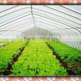 Greenhouse Covering Film thumbnail-1
