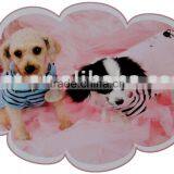 Pet Product thumbnail-1