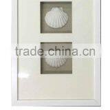 Shadow Box With White Seashell Wall Art thumbnail-1