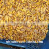 Pollock Fish is a Fish Frozen Silkworm Chrysalis thumbnail-1
