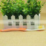 Soft Bristle Type Tooth Whitening Strip Multi-function Green Tea Toothbrush thumbnail-4
