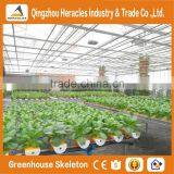 Heracles Commercial Idustrial Hydroponic Systems For PC Greenhouse /Vegetable Greenhouse thumbnail-3