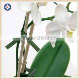 PVC Plastic Coated Soft Twist Tie Wire for Garden Tools thumbnail-3