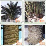 Hot Selling Simulation Artificial Palm Trees Cheap Artificial Palm Trees Landscaping Artificial Plam Trees thumbnail-6