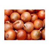 Chinese Natural Fresh Onion 30mm - 50mm With ISO , HACCP , FDA