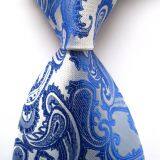 Weave Silver Mens Silk Necktie Digital Printing Boys