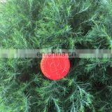 SGS Printing the Logo Shopping Trolley Plastic PS Fruit Coins thumbnail-1