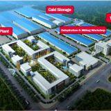 Qingdao Manhang International Trade Co.,Ltd company overview - view 4 thumbnail