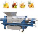 New Promotion Portable Best Fruit and Vegetable Juicer