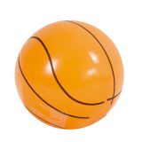 Basketball Beach Ball