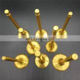 Heat-resisting Stainless Steel Intake Exhaust Engine Valves Non Cps PW-811080 PW-811081 for Proton GEN2 Gen-2 CAMPRO VIM IAFM thumbnail-4