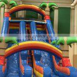 Double Lane Rainbow Palm Tree Water Slides Inflatable Tropical Water Slide For Children thumbnail-5