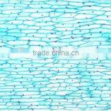 Plant Leaf Slides , Plant Leaft Epidermis Slides ,leaf Slides of Botany,leaf Spidermis Slides thumbnail-4