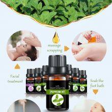 Natural Peppermint Oil Massage Essential Oil New Fresh Mosquito Repellent Refreshing Analgesic Skin Care thumbnail-3