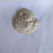 Probiotics Bacillus Pumilus Agricultural Fertilizer Feed Use thumbnail-2