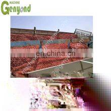 Hot Selling Fully Automatic Turkey Sauce Paste Manufacturing Machinery Unit Tomato Processing Plant for Sale thumbnail-4
