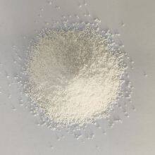 Coated Sodium Butyrate 50% Swine,Poultry,Aquatic Animals,Ruminant,Fattening Cattle thumbnail-1