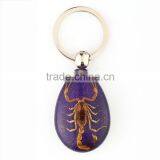 Real Insect Keychain With Scorpion thumbnail-1