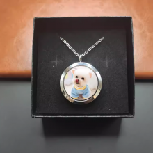 Custom Engraved Pet ID Pendant Necklace in Hypoallergenic Titanium thumbnail-1