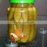 Very Competitive Price Pickled Cucumber thumbnail-1