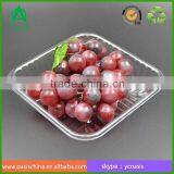 Disposible Plastic Food PET Tray/strawberry/blueberry Clamshell Tray 16*16 cm Quality Choice thumbnail-2
