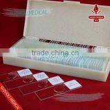 50pieces Set Primary School Study Zoology and Botany Mixed Biology Slides thumbnail-1