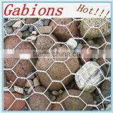 Galvanized &PVC Coated Anping Factory Gabion Box Basket/Gabion Wire Mesh Netting thumbnail-5