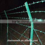 Electro Galvanized Barbed Wire Price thumbnail-2