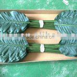 Silk Large Leaves Tropical Presentation