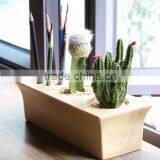 Wood Home Flowerpot Craft,cactus Wooden Craft,fleshy Flower Pot thumbnail-2