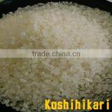 Delicious and Reliable Japanese Rice in Japan Rice at Reasonable Prices thumbnail-2