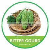 HIGH QUALITY FRESH BITTER GOURD thumbnail-1