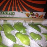 FRESH GUAVA WITH BEST PRICE AND GOOD QUALITY