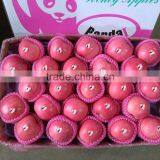 Fuji Apples Wholesale Fruit Prices thumbnail-1