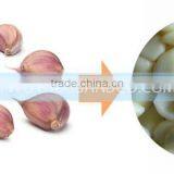 Garlic Dry Peeling Machine, Garlic-Peeling-Machine, Machine for Peeling Garlic With 150 KG/H thumbnail-4